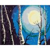 Maľovanie podľa čísel Brezy mesiac a padajúci sneh