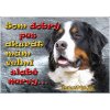 Pozorpes.sk, výstražná tabuľka (Bernský salašnícky pes, pozor zlý pes)