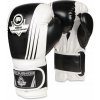 Boxerské rukavice DBX BUSHIDO B-2v3A 12 oz