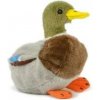 Kačer kachny divoké plyš 18 cm