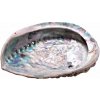 Nefertitis Abalón mušle leštená vykurovacia miska M 15 až 16 cm NF42893 - cca 15 až 16 cm