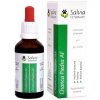 Salvia Veterinary Chanca Piedra AF 50 ml