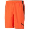 Puma | teamLIGA Shorts | oranžová| S