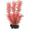 Tetra Akvarijní rostlina Foxtail Red S 15 cm