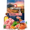Ontario Puppy Large Chicken & Sweet Potatoes 2,25kg