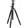 Vanguard Alta 234 AP