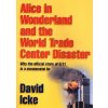 Alice in Wonderland and the World Trade Center Disaster