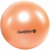 Ledragomma GymBall Maxafe 42 cm