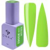 DNKa’ Gel Polish Color #0062 12 ml*