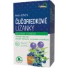 Naturprodukt | doplnky stravy ROLÍZKY Čučoriedkové lízanky 4 ks