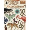 Animálium - Katie Scott, Jenny Broom