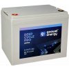 GOOWEI ENERGY Pb trakční záložní akumulátor VRLA GEL 12V/80Ah (6-EVF-80)