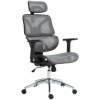 Kancelárske kreslo Dehler, sivá