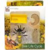 Atlas Figúrka Včela vývojový cyklus set 4 ks 6 cm WKW047335