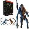 Figúrka NECA Alien vs Predator