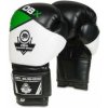 Boxerské rukavice DBX BUSHIDO B-2v6 10 z.