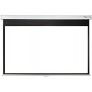 Optoma 234 x 175cm DS-3120PMG+