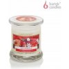 Bartek Candles Gingerbread 260 g