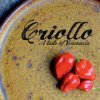 Criollo: A Taste of Venezuela (L Fernando Gonzalez)(Brožovaná)