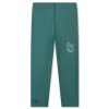 Swim Essentials Chlapčenské plavkové legíny s UPF 50+ Surfer