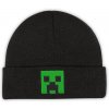 BIOWORLD ENTERTAINMENT Minecraft Creeper Embroidered Adults Beanie