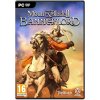 Mount and Blade 2 Bannerlord