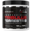 Hi-Tec Tribulus Terrestris 100 kapsúl