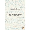 Connectome (Sebastian Seung)(Brožovaná)