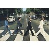Plagát, Obraz - The Beatles - Abbey Road, 91.5 × 61 cm
