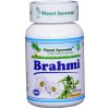 Planet Ayurveda BRAHMI 60 kapsúl – posilňuje mozog a nervovú sústavu