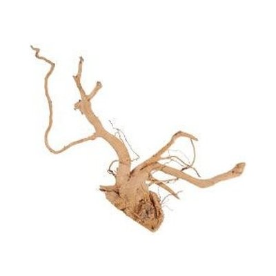 Zolux pavúk koreň 50-60 cm