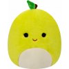 Plyšák Squishmallows Fuzz-A-Mallows Jablko Ashley (196566187337)