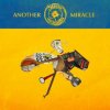 Steve'n'seagulls - Another Miracle / Vinyl [LP]