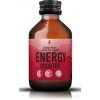 Leros Healthy Booster Energy koncentrát na udržanie energie a kognitívnej výkonnosti príchuť red ginseng 100 ml