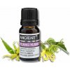 Ancient Wisdom Esenciálny olej Pačuli 10 ml