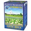 Everest Ayurveda GOTU KOLA - Degenerácia mozgových funkcií, bylinný čaj 100 g (Sypaný himalájsky ajurvédsky bylinný čaj)