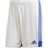 Adidas Tastigo 19 Shorts M FI6355 (80503) XXL