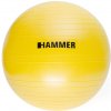HAMMER Gymnastic Ball 55cm