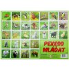 HYDRODATA Pexeso 