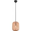TRIO LIGHTING FOR 303000132 RUNA, Závesné svietido