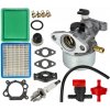 Langner Karburátor pre BRIGGS STRATTON 625 650 675 799866 796707 794304 súprava