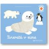 Spoznávaj dotykom Zvieratá v zime - Émilie Malandain, Julie Mercier