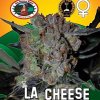 Big Buddha Seeds - LA Cheese 5 ks - Semienka neobsahujú THC