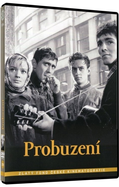 Probuzení digipack DVD