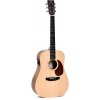 Sigma Guitars DSME