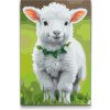 Vymalujsisam.sk Maľovanie podľa čísiel - Jarné jahniatko Veľkosť: 40x60cm, Rám: Na plastovej doske