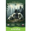 E-kniha Poviedky a vety 1, Slovenské ilustrované vydanie - Róbert Hodoši, Andrew Lang