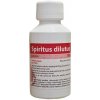 Spiritus dilutus sol.der.1 x 100 g