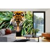 Samolepiaca vliesová fototapeta Tiger pri rieke 375 x 250 cm