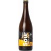 Klenot 10° Mango Peach Sour Ale